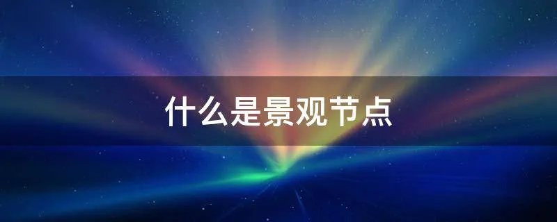 什么是景观节点