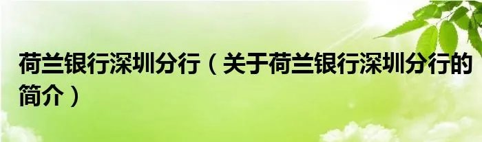 荷兰银行深圳分行（关于荷兰银行深圳分行的简介）