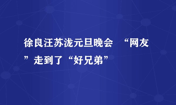 徐良汪苏泷元旦晚会  “网友”走到了“好兄弟”