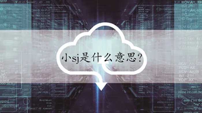 小sj是什么意思？