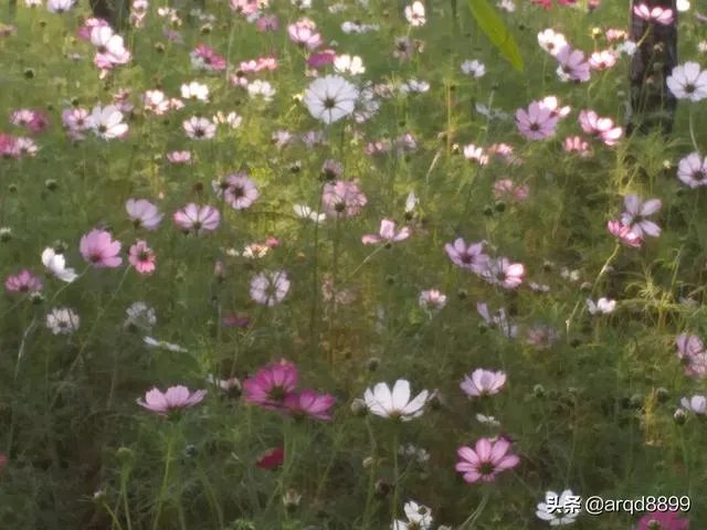 河北高校“天价宿舍”，是否合理？
