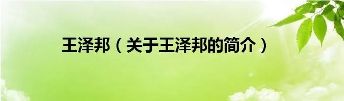 王泽邦（关于王泽邦的简介）