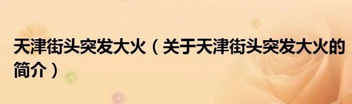 天津街头突发大火（关于天津街头突发大火的简介）