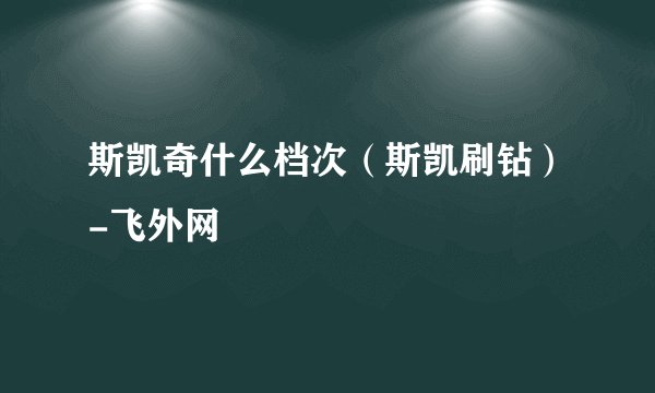 斯凯奇什么档次（斯凯刷钻）-飞外网