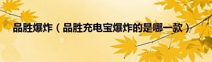 品胜爆炸（品胜充电宝爆炸的是哪一款）