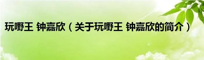 玩嘢王 钟嘉欣（关于玩嘢王 钟嘉欣的简介）