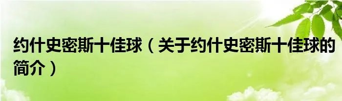 约什史密斯十佳球（关于约什史密斯十佳球的简介）