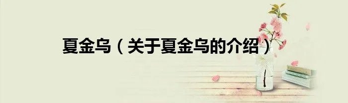 夏金乌(关于夏金乌的介绍)