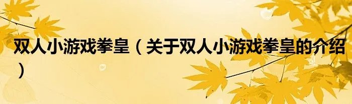 双人小游戏拳皇（关于双人小游戏拳皇的介绍）