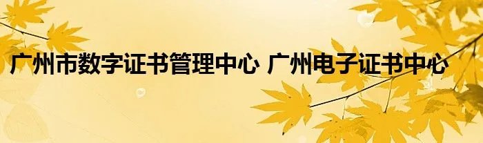 广州市数字证书管理中心 广州电子证书中心