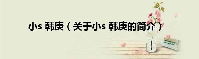 小s 韩庚（关于小s 韩庚的简介）