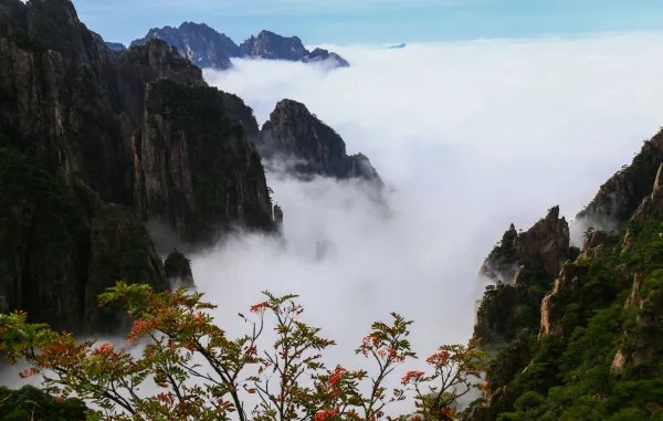 黄山爬到一半想回家，背后的真正原因是什么？