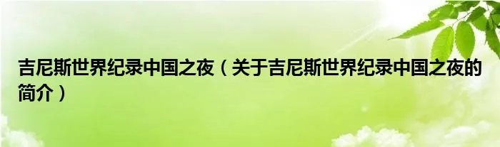 吉尼斯世界纪录中国之夜（关于吉尼斯世界纪录中国之夜的简介）