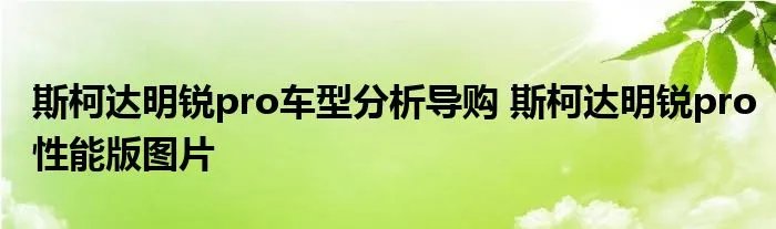 斯柯达明锐pro车型分析导购 斯柯达明锐pro性能版图片