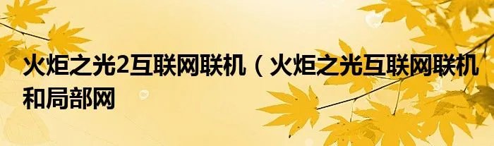 火炬之光2互联网联机（火炬之光互联网联机和局部网