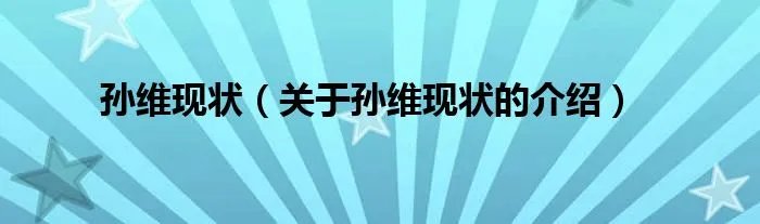孙维现状（关于孙维现状的介绍）