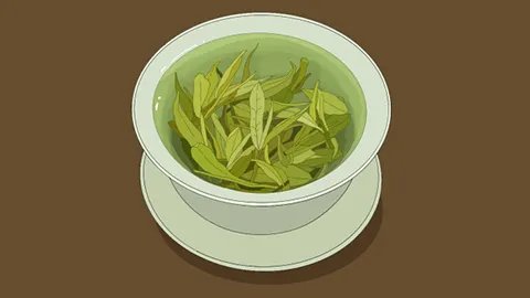 败火茶有哪些