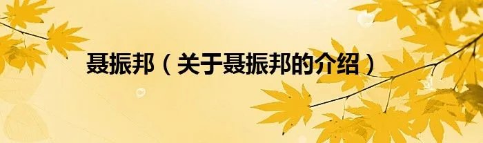 聂振邦（关于聂振邦的介绍）