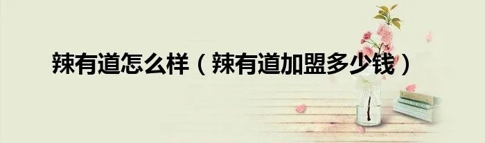 辣有道怎么样（辣有道加盟多少钱）