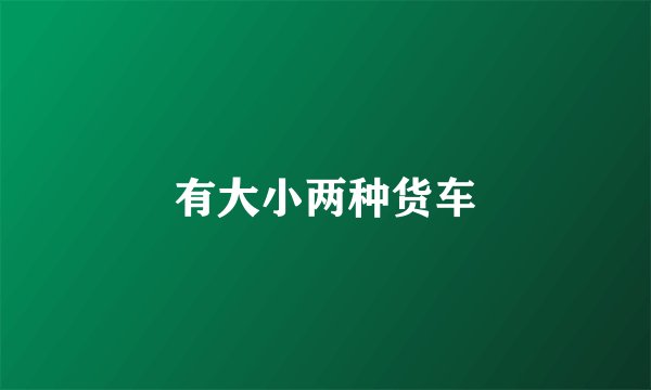 有大小两种货车