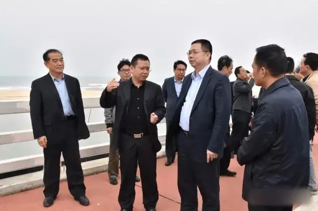 姚振华是谁?姚振华靠山是谁?(资产高达1050亿)
