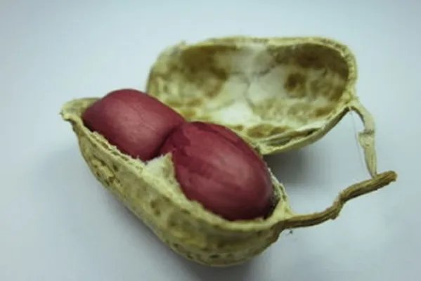 起床后常吃它70岁都不易患癌（图）
