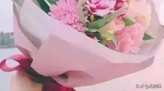 芙伊苍殊是哪本小说的人物?