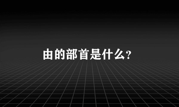 由的部首是什么？