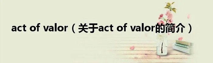 act of valor（关于act of valor的简介）