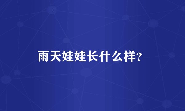 雨天娃娃长什么样？