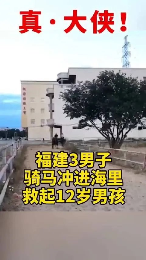 福建三男子骑马冲入海中救下男孩,为何网友直呼大侠转世?