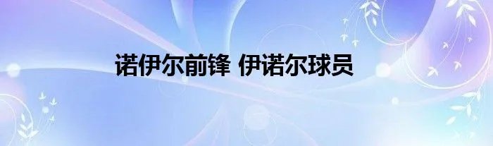 诺伊尔前锋 伊诺尔球员