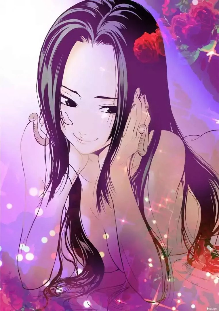 海贼王hental 娜美本子(最活跃的4个海贼王女性)