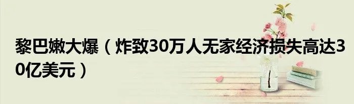 黎巴嫩大爆（炸致30万人无家经济损失高达30亿美元）