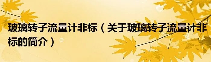 玻璃转子流量计非标（关于玻璃转子流量计非标的简介）