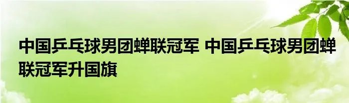 中国乒乓球男团蝉联冠军 中国乒乓球男团蝉联冠军升国旗