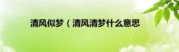 清风似梦（清风清梦什么意思