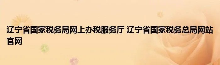辽宁省国家税务局网上办税服务厅 辽宁省国家税务总局网站官网