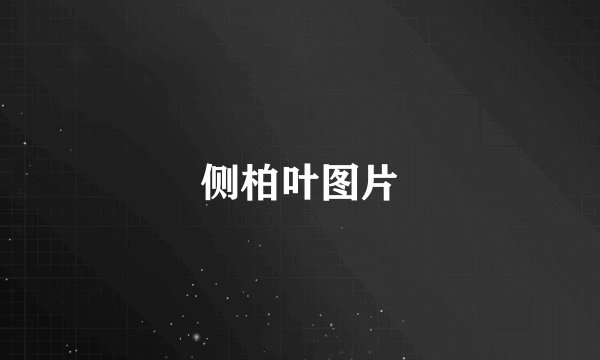 侧柏叶图片