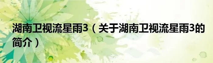 湖南卫视流星雨3（关于湖南卫视流星雨3的简介）