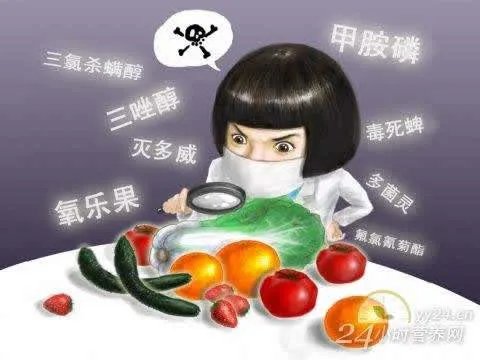 2分钟去除蔬菜农药千万人受益（图）
