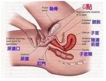 啪啪时这三款”经典姿势“的精髓,你可能并没有掌握