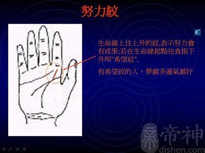 教你如何看手相?看手相算命图解大全