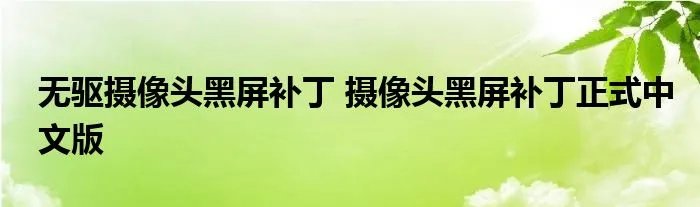 无驱摄像头黑屏补丁 摄像头黑屏补丁正式中文版