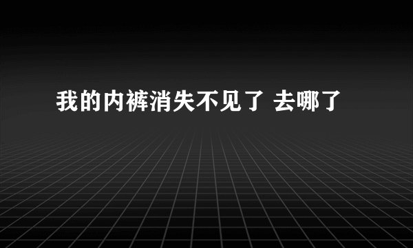 我的内裤消失不见了 去哪了