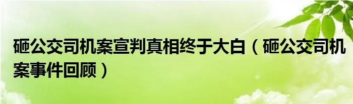 砸公交司机案宣判真相终于大白(砸公交司机案事件回顾)