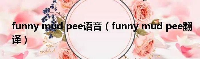 funny mud pee语音（funny mud pee翻译）