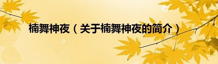 楠舞神夜（关于楠舞神夜的简介）
