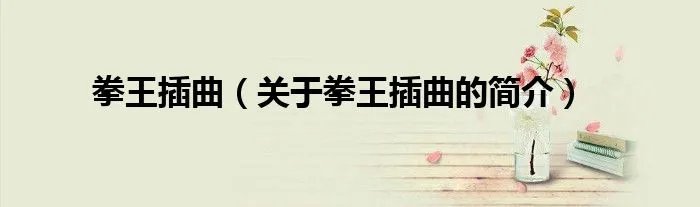 拳王插曲(关于拳王插曲的简介)