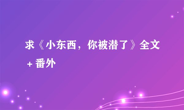 求《小东西，你被潜了》全文＋番外